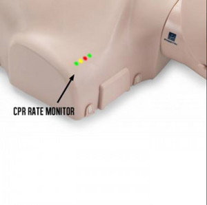 CPR Manikin Prestan Child (1) with CPR Monitor